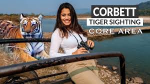 tiger safari in core dhikala zone