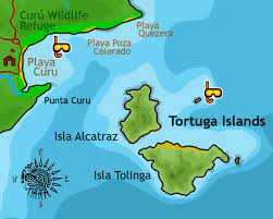 tortuga island montezuma costa rica
