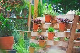 Diy Wooden Pallet Garden Ideas The