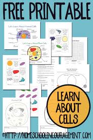free plant and cell printables