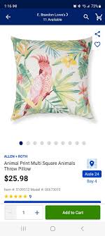 Allen Roth Outdoor Pillows Set For
