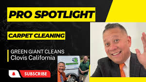 carpet cleaning green giant cleans 559