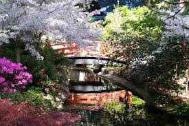 Japanese Garden Descanso Gardens Guild