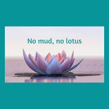 Official website of lotus cars. Home Lotus Kindercoaching