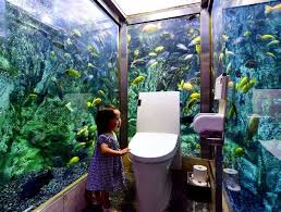Aquarium Toilet