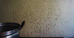 How To Remove Stains From Wall Without