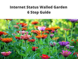 internet status walled garden 6 step