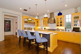 75 dark wood floor kitchen with yellow