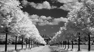 Black and White Desktop Wallpapers on ...