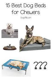 15 Best Dog Beds For Chewers Cool Dog