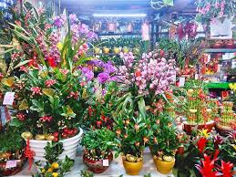 flower markets in greater taipei extend