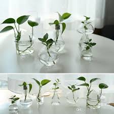 Glass Vases Flower Pots Planters
