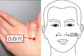 「迎香」的圖片搜尋結果