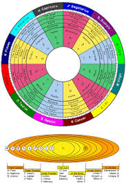 Astrology Basics Cafe Astrology Astrology Chart
