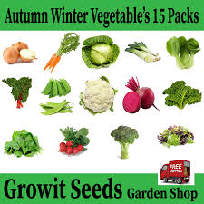 vegetable seeds 15 garden varieties of