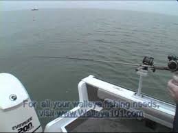 Offshore Tackle Tadpole Video Clip