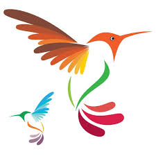 Hummingbird Vector Art Stock Images