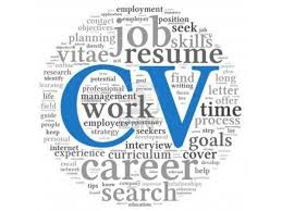     best CVs images on Pinterest   Writers  Professional cv and     My Fashion Tutor
