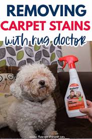 removing carpet stains with rug doctor