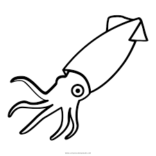 Click the giant squid coloring pages to view printable version or color it online (compatible with ipad and android tablets). Squid Coloring Page Ultra Coloring Pages