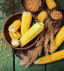 6 health benefits of corn and its
