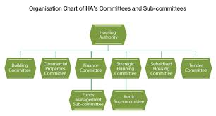 Hong Kong Housing Authority Governance Structure Management