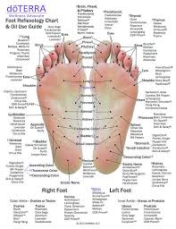 10 Pack Essential Oil Reflexology Chart Oil Use Guide