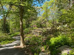 garden in the woods wolf landscape