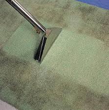 why hot water extraction beats carpet
