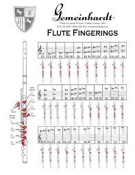 Musical Instruments Stage Studio Basic Fingering Chart