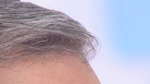 does plucking gray hair cause more to