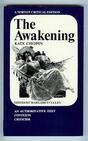 The Story of an Hour  Kate Chopin  characters  setting cutopek   Sample Essays For High School Depression Research Paper    
