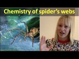 chemistry of spider s webs you