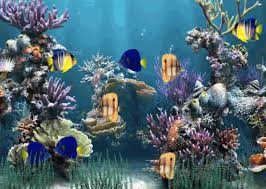free animated fish aquarium wallpaper