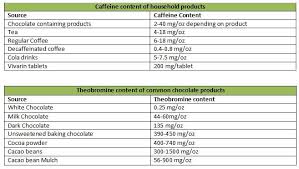 Pet Tip Chocolate Toxicity In Dogs