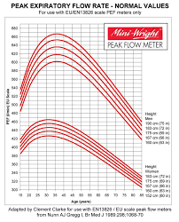 Peak Flow Meter Range Chart Www Bedowntowndaytona Com