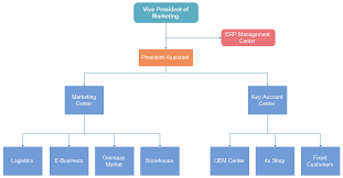 Corporation Org Chart Example In Detail Org Charting