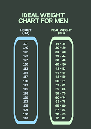 free male bmi chart template
