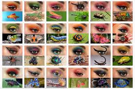 insect art eye makeup by duran jay