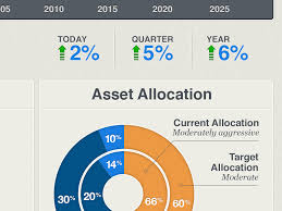 Asset Allocation Graph By Aaron Weinstein On Dribbble
