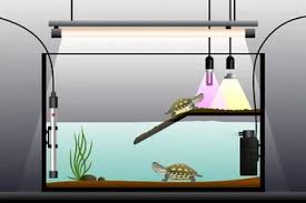 5 Best Turtle Basking Platforms In 2022 (Buying Guide Review