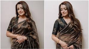 trisha krishnan s silk saree worth 26k