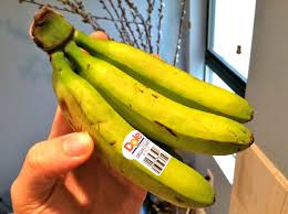 Mini Bananas Keep It Up David