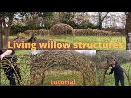 Living Willow Structures Tutorial A