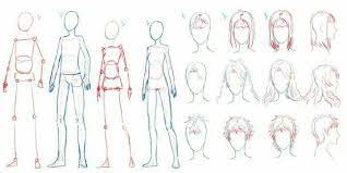 What is the best way to practice drawing anatomy i draw anime manga. How To Draw Anime Body Male And Female Learn How To Draw