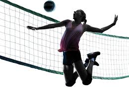 volleyball images