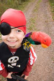 boy dressed as a pirate picture and hd