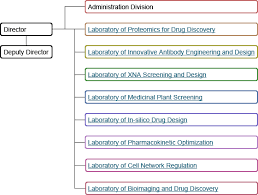Organization Chart National Institutes Of Biomedical