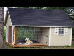 Large Dog House Building Plans