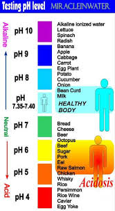 Ph Throughout Body Chart Google Search Ph Levels